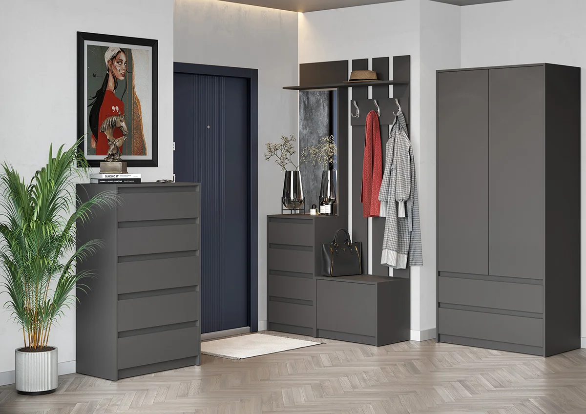 Модульная прихожая Айден